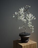 富士垂枝櫻 (Balance)